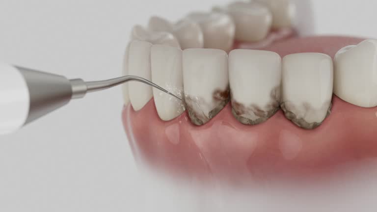 Reliable Dental contractor in Lexington, KY by Dentist Open Now